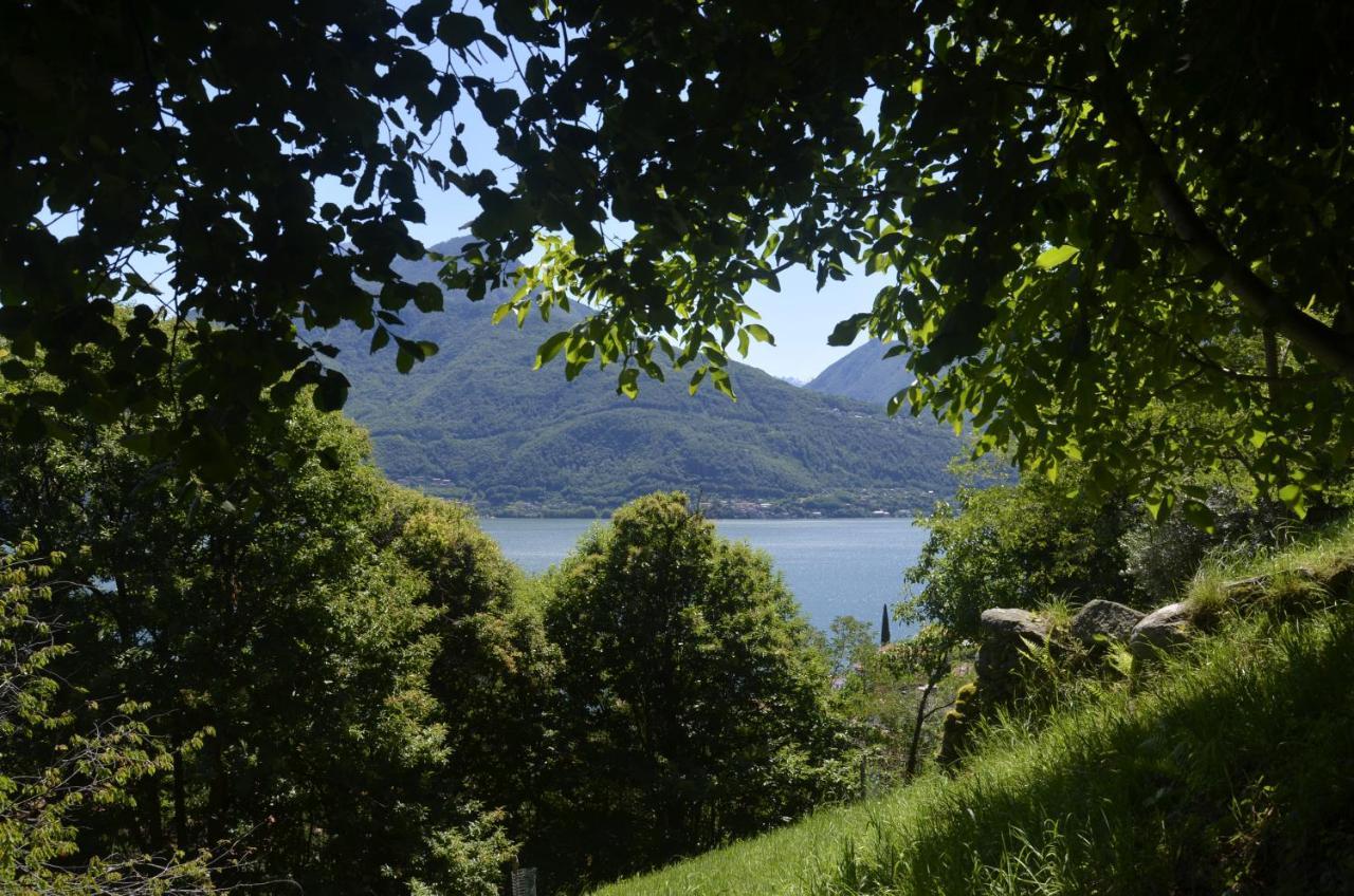 Anma Cottages The Secret Garden Pianello Del Lario Kültér fotó
